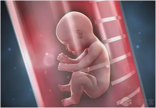 宁波哪家医院有最好的试管婴儿技术助孕？
